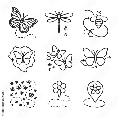 Insect Migration Icons. Line style icons of insect migration patterns: monarch butterfly in flight, dragonfly with compass arrow,