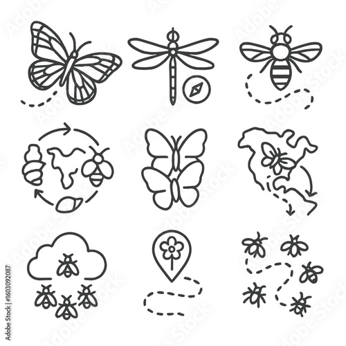 Insect Migration Icons. Line style icons of insect migration patterns: monarch butterfly in flight, dragonfly with compass arrow,