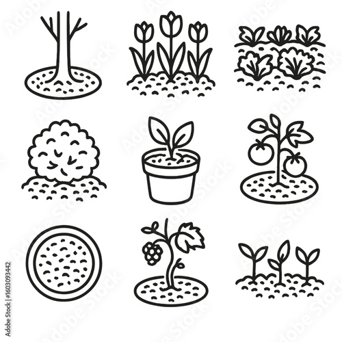 Mulch Line Style Icons. Line style icons of mulching around plants: mulch around tree base, mulch on flower bed, vegetable patch