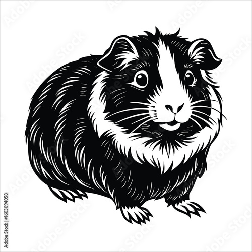 Guinea pig Wikipedia
