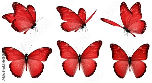 Six red butterflies in various poses isolated on white background