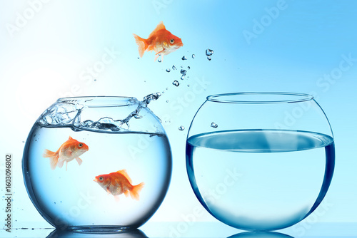 Goldfish jumping out of glass bowl into another one against light blue gradient background