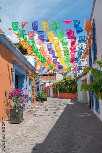 Day of the Dead in Jalatlaco neighborhood. Oaxaca, Mexico