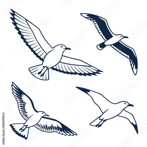 Four seagulls in flight silhouette vector art