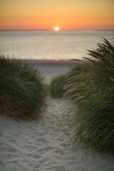 Foto auf Acrylglas Nordsee Dunes of Texel, Netherlands, sunrise, peace, warm colors North Sea, Holland, path with horizon, no clouds  © M. & S.-N. Petersen