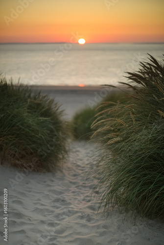 Dunes of Texel, Netherlands, sunrise, peace, warm colors North Sea, Holland, path with horizon, no clouds