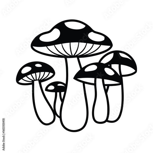 Diverse Mushroom Collection Vector Illustration Edible and Wild Fungi Full Set