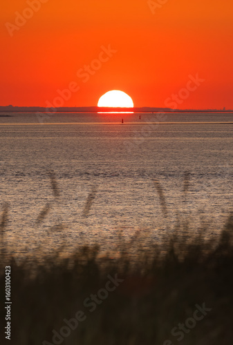 Dunes of Texel, Netherlands, sunrise, peace, warm colors North Sea, Holland, horizon in the morning