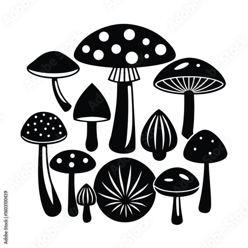 Diverse Mushroom Collection Vector Illustration Set for Culinary and Botanical Designs