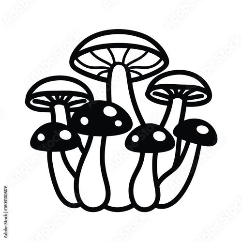 Diverse Mushroom Collection Vector Illustration Edible and Poisonous Fungi Set