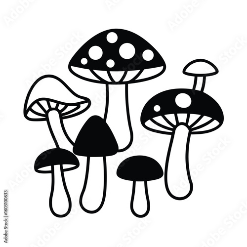 Diverse mushroom collection vector illustration edible and poisonous fungi set