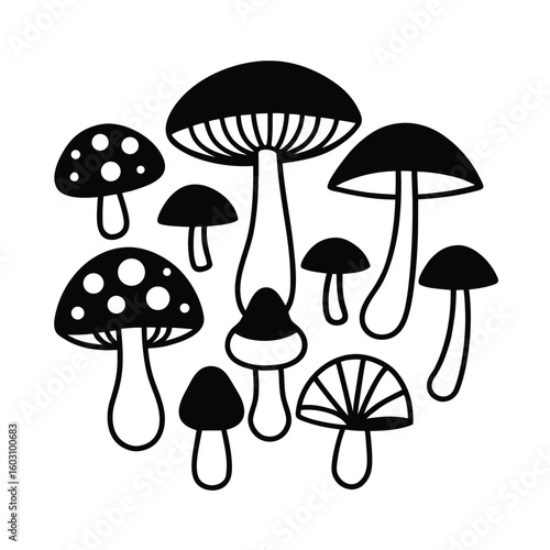 Diverse Mushroom Collection Vector Illustration Set for Culinary and Botanical Designs