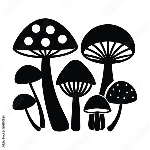 Diverse Mushroom Collection Vector Illustration Edible and Wild Fungi Set