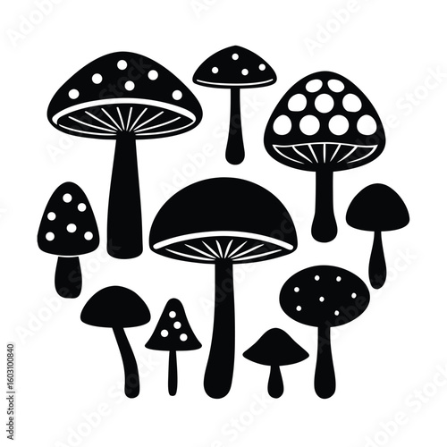 Diverse Mushroom Collection Vector Illustration Set Edible and Wild Fungi