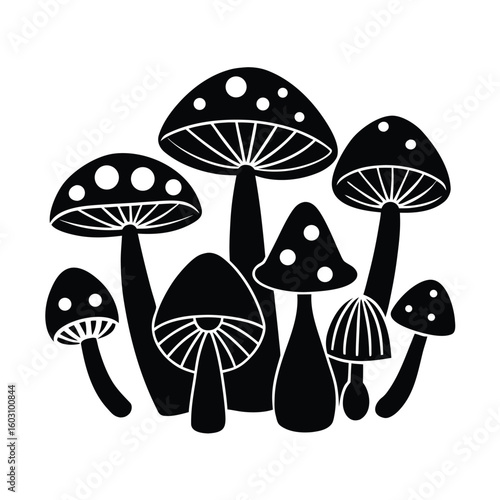 Diverse mushroom collection vector illustration edible and poisonous fungi set