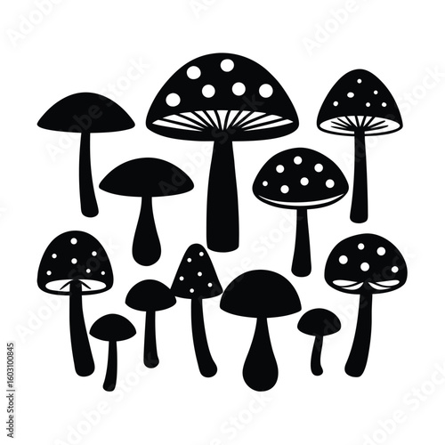 Diverse Mushroom Collection Vector Illustration Edible and Poisonous Fungi Set