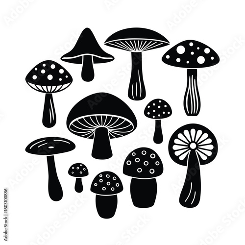 Diverse Mushroom Collection Vector Illustration Edible and Wild Fungi Set