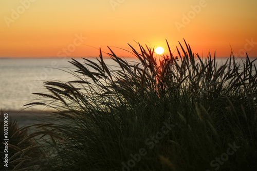 Dunes of Texel, Netherlands, sunrise, peace, warm colors North Sea, Holland, grass in the darkness
