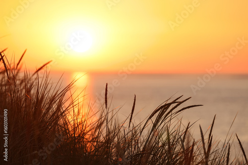 Dunes of Texel, Netherlands, sunrise, peace, warm colors North Sea, Holland, bright lightness