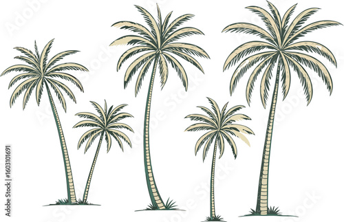 Botanical-style watercolor illustration of five distinct palm trees with muted green fronds arranged in a staggered row on white background


