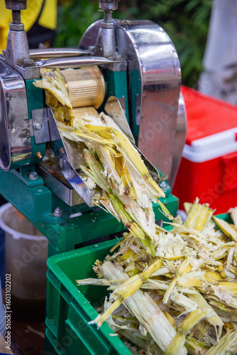 Sugar Cane Grinder Machine