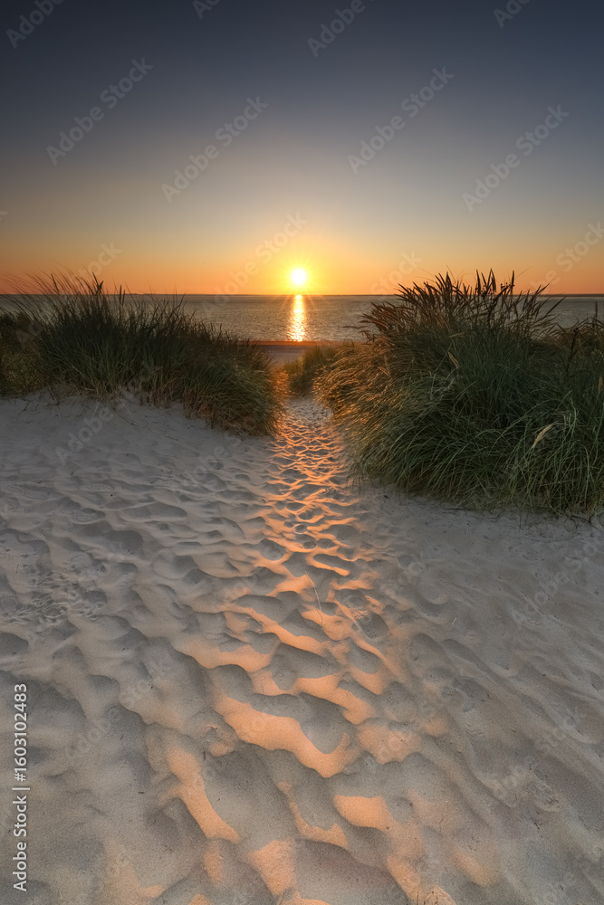 Fototapeta premium Dunes of Texel in the Netherlands, beauty of nature, sunrise, holiday, free, silence, path in portraitformat 