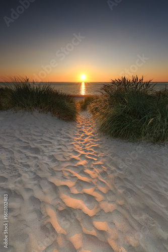 Dunes of Texel in the Netherlands, beauty of nature, sunrise, holiday, free, silence, path in portraitformat

