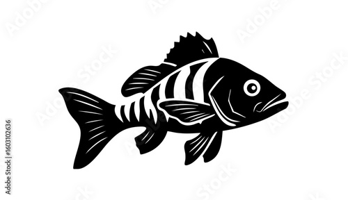 zebra danio fish icon, zebra danio fish vector illustration-simple illustration of zebra danio fish