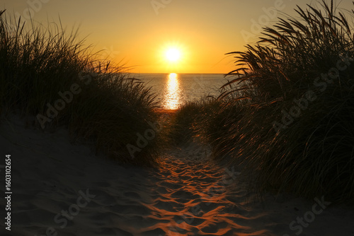 Dunes of Texel in the Netherlands, beauty of nature, sunrise, holiday, free, silence, from darkness to light
