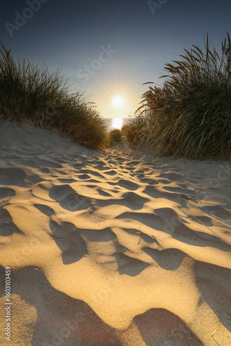 Dunes of Texel in the Netherlands, beauty of nature, sunrise, holiday, free, silence, 

