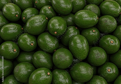 Fresh Avocados Piled Up – Tropical Green Fruit in High Resolution