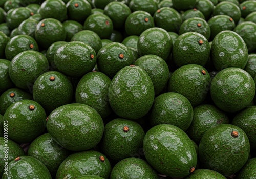 Fresh Avocados Piled Up – Tropical Green Fruit in High Resolution