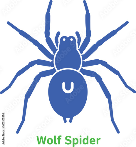 Blue spider illustration vector graphic arachnid insect creepy crawly design