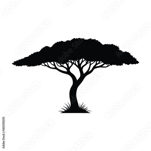 Silhouette of a classic african acacia tree with a flat top against a white background