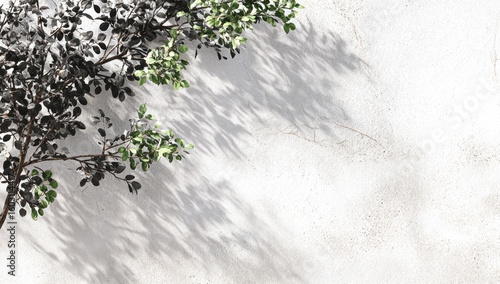 Green and dark leaves cast shadows on a light gray wall.