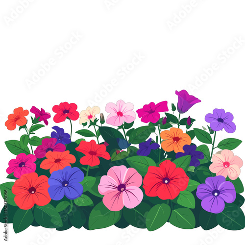 Colorful Flower Arrangement On White Background