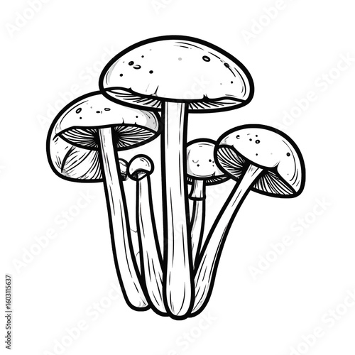 Three Mushrooms Illustration