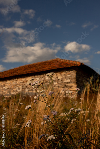 Casa de pedra