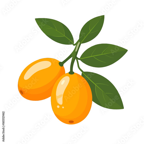Two Bright Orange Fruits On Branch With Green Leaves