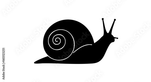A detailed black snail silhouette against a plain background.
