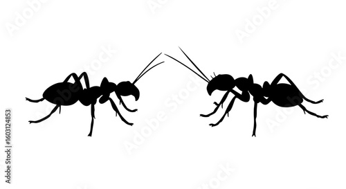 Two Ants Facing Each Other with Black Silhouette.