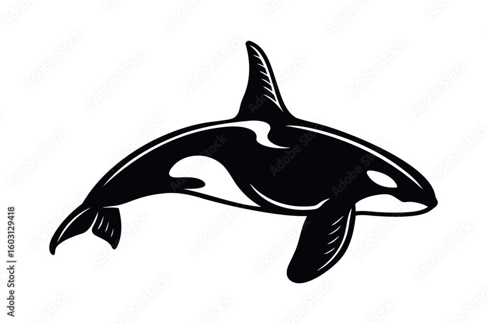 Fototapeta premium Orca silhouette black engraving style vector illustration