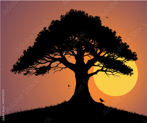 Tree silhouette sunset