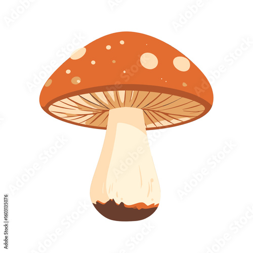 Orange And White Mushroom Illustration