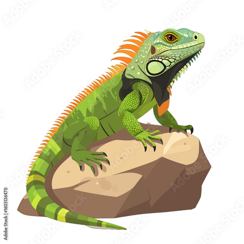 Colorful Iguana Perched On Rock