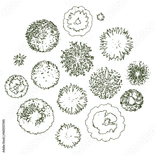Detailed Tree Top View Vector Illustration for Landscape Design and Architectural Plans