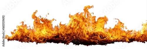 A vibrant, sweeping line of intense orange and yellow flames is dramatically isolated against a clear, transparent background, conveying heat and energy.