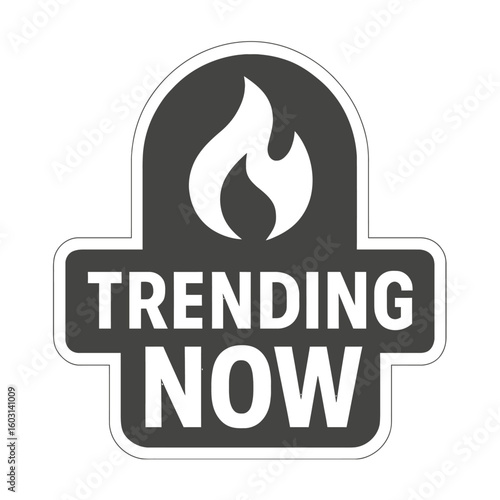 The 'Trending Now' graphic displays a flame, conveying popularity and currency. Modern flat vector sticker label with icon and badge style, transparent background