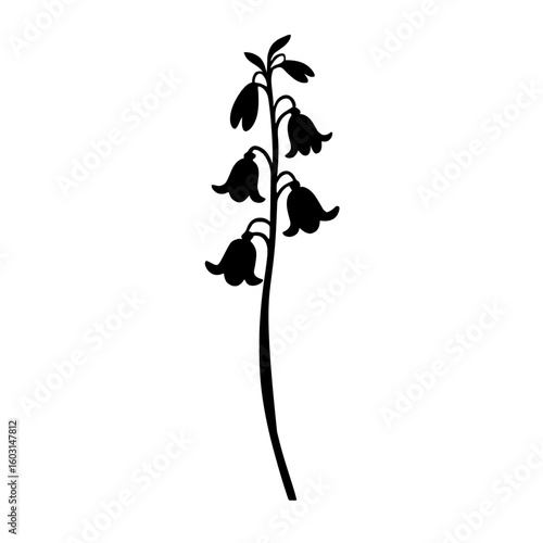 Minimalist black silhouette of a bluebell flower on a white background