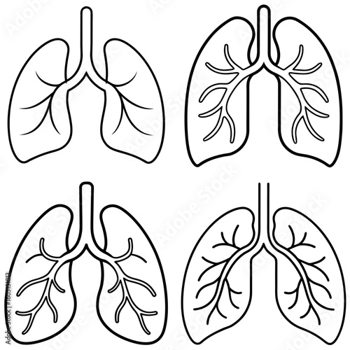 Lungs Icon – Outline Vector Illustration of Human Respiratory Organs